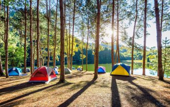 Camping tents under pine trees with sunlight at Pang Ung lake, Mae Hong Son in THAILAND.